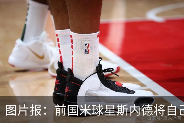 图片报：前国米球星斯内德将自己多件珍品拍卖，包括世界杯银球奖